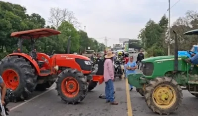 Imagen de referencia.