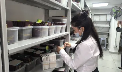 Imagen de referencia.