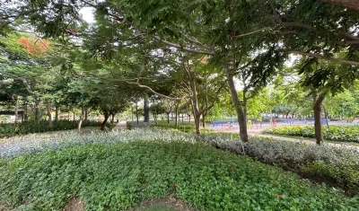 Parque Espejo en Villa Carolina intervenido.