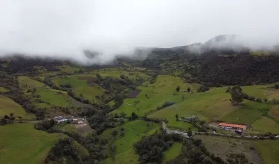 Imagen de referencia.