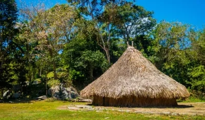 Imagen de referencia.