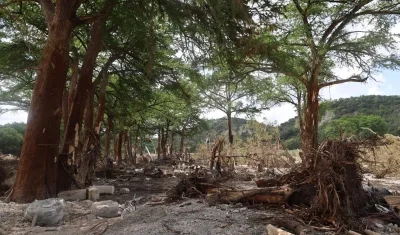 Zona afectada por las inundaciones este miércoles, en Kerville, Estados Unidos.