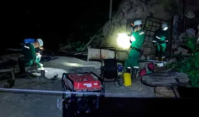 Petro plantea la necesidad de que el país avance en la transición de la minería hacia la agricultura sostenible.​