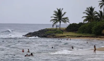 Imagen de referencia.