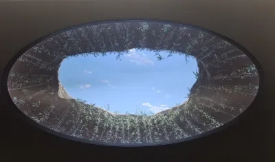 'Vértice y Horizonte': la exposición que fusiona naturaleza y arte en Barranquilla