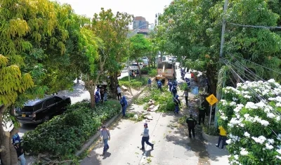 La jornada de limpieza este jueves en la carrera 46 con calle 93. 