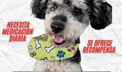 Cualquier información, comunicarse a los números 3015788567 – 3150637847.  