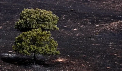 El incendio arrasó hectáreas.