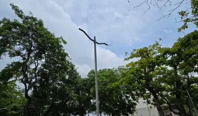 Hurtaron 22 luminarias.