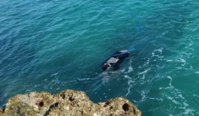 Imagen del sitio donde hallaron uno de los cuerpos.