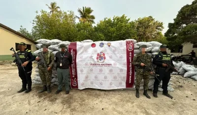 Carbón vegetal incautado.