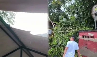 Daños en la infraestructura del colegio. 