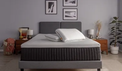 Imagen de referencia.