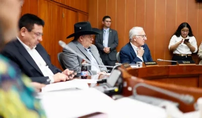 El ministro de Salud, Guillermo Alfonso Jaramillo, en la Comisión Séptima del Senado.