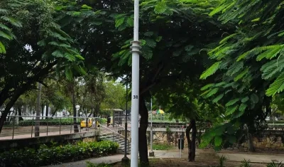Iluminación en parque de Barranquilla.