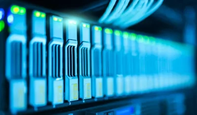 Imagen de referencia.