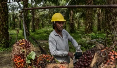 El evento se realizará del 23 al 25 de septiembre en Cartagena. 