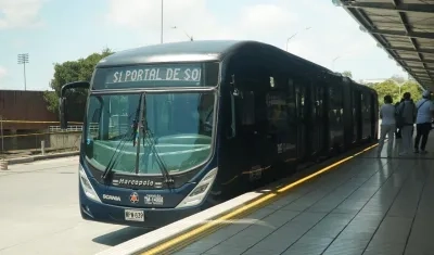 Imagen de uno de los articulados.