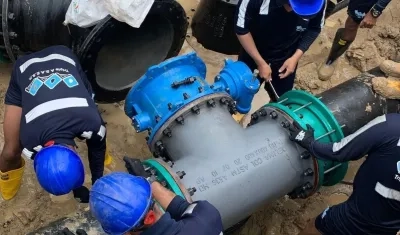 Imagen de referencia.