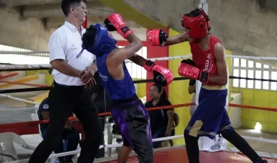 El torneo se disputa en las categorías infantil, junior, juvenil y mayores.