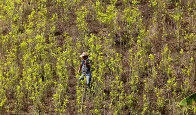 Imagen de referencia.