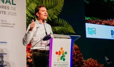 Nicolás Pérez Marulanda, presidente Ejecutivo de Fedepalma.