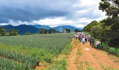 Espacio Territorial de Capacitación y Reincorporación Agua Bonita. 