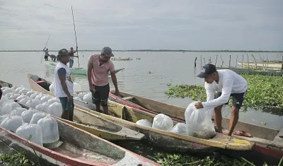 Beneficiarios del ‘Plan + Pescao’