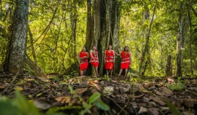 Imagen de referencia.