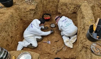 Imagen de referencia.