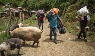 Desplazamiento Forzado