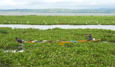 Embalse del Guájaro