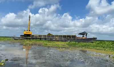 La invasión de Hydrilla en la Ciénaga Grande de Santa Marta