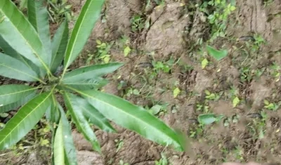 Hallan sin vida a un hombre dentro de una vivienda en Juan de Acosta