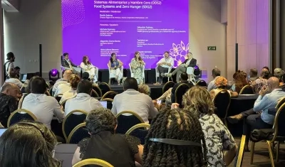 Panel sobre Seguridad Alimentaria y Hambre Cero.