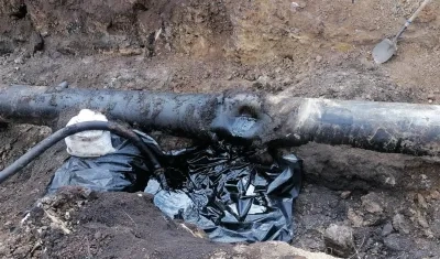 Imagen de referencia.