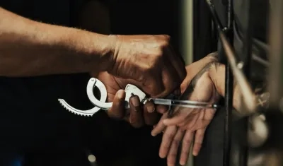 Imagen de referencia.