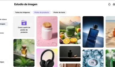 Imagen de referencia.