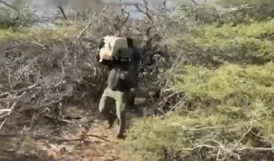 La droga fue hallada en una bodega subterránea en el municipio Uribia. 