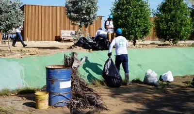 Jornada de limpieza playa