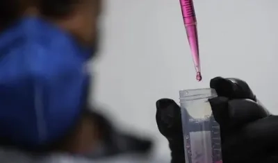 Imagen de referencia.