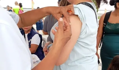 Imagen de referencia.