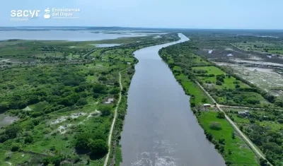 Imagen de referencia.