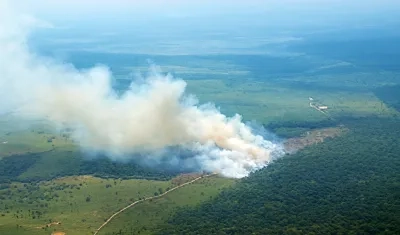 Incendios forestales.