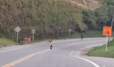 Ejército durante la operación.