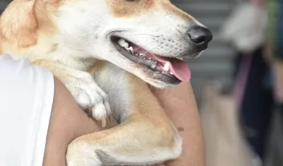 Imagen de referencia.