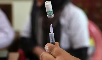 Imagen de referencia.