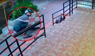 Imagen del ladrón y su último hurto en el barrio.