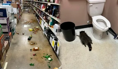 Fotografías difundidas por las autoridades.  