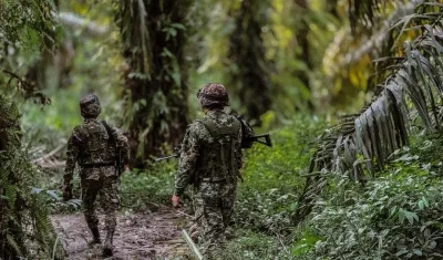 Imagen de referencia.